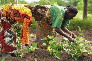 Working in a Field